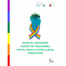 Baseline Assessment Report Challenges, Mental Health Among LGBT+ Population